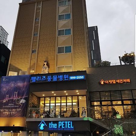 The Petel Premium Suite Busan Esterno foto