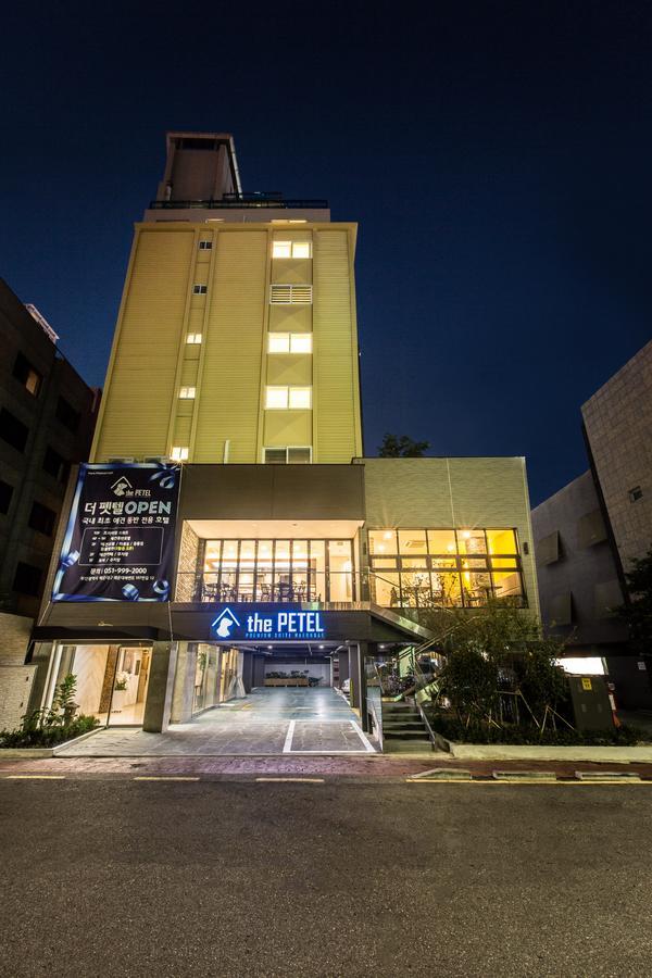 The Petel Premium Suite Busan Esterno foto