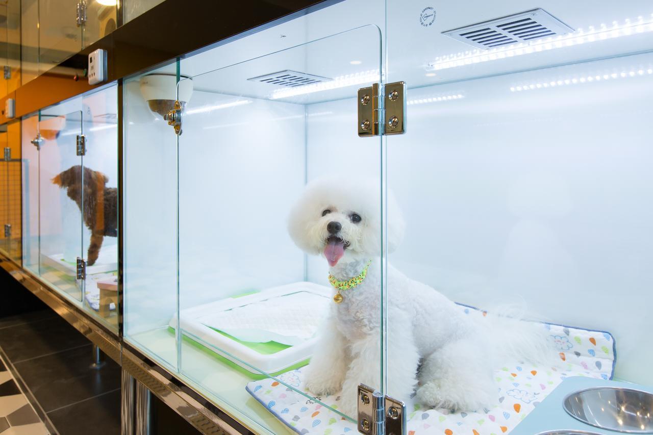 The Petel Premium Suite Busan Esterno foto