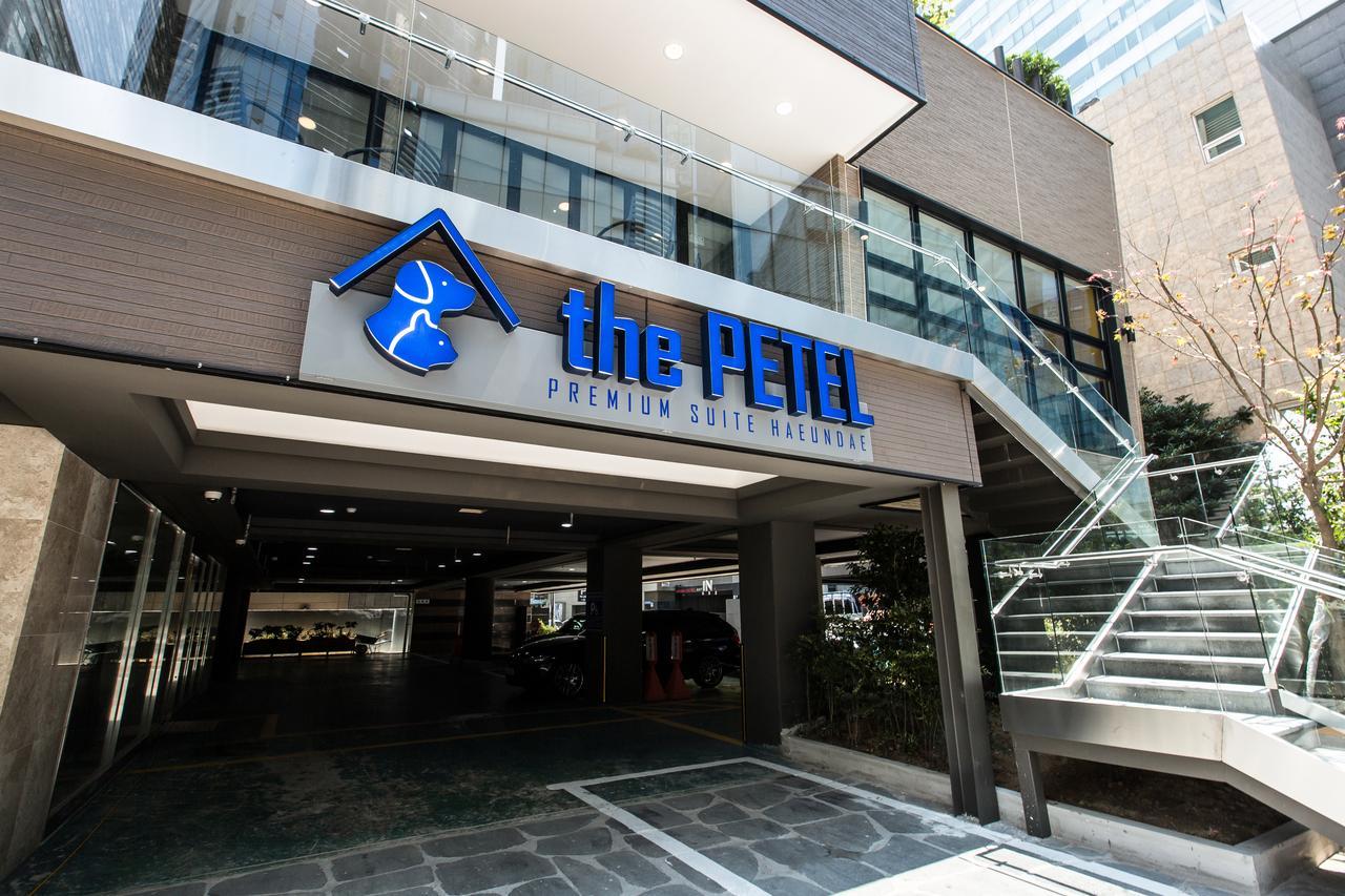 The Petel Premium Suite Busan Esterno foto