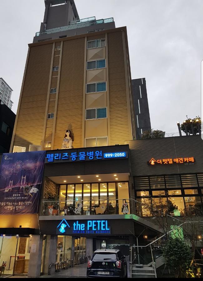 The Petel Premium Suite Busan Esterno foto